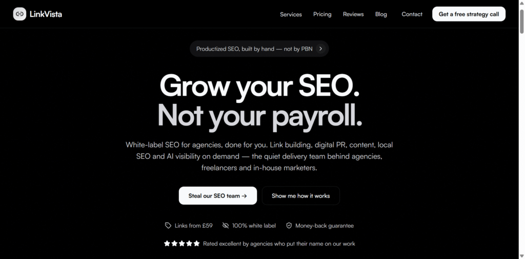 Screenshot of linkvista.agency home page