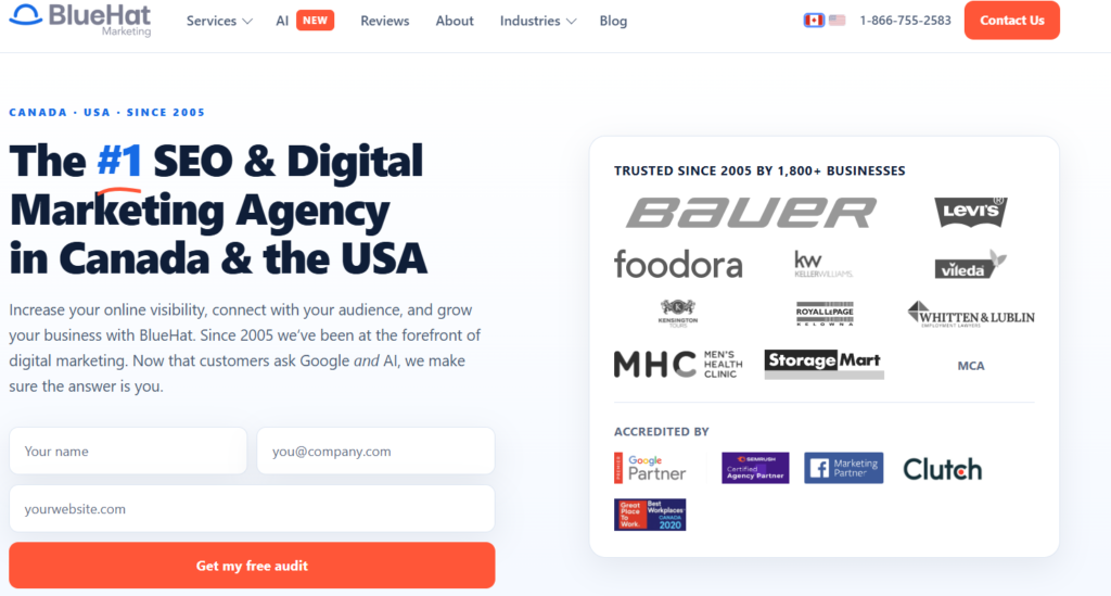 Screenshot of BlueHat Marketing Homepage